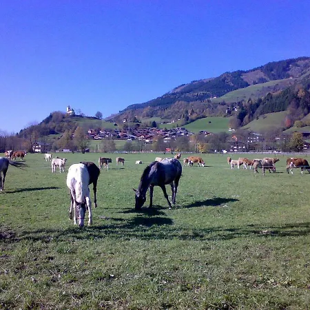 Karin Fusch an der Glocknerstraße