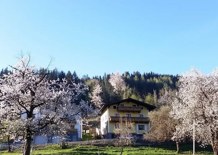 Dom wakacyjny Karin *