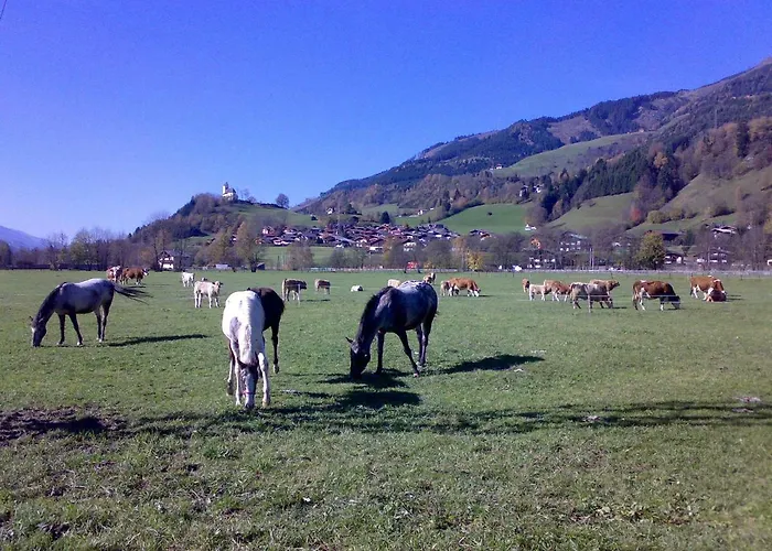 Karin Fusch an der Glocknerstraße